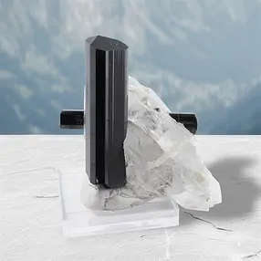 Cristal Schorl (Skardu), 5,0cm, Pièces uniques 009 | Marco Schreier