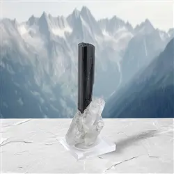 2806138011 Cristal Schorl (Skardu), 7,0cm, Pièces uniques 011 | Marco Schreier