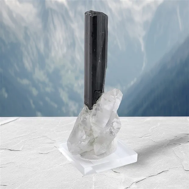 Schorl di cristallo (Skardu), 7,0 cm, unico 011 | Marco Schreier