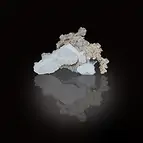 https://cdn.marcoschreier.com/content/productimages/2806141010_zoom.jpg