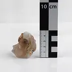 https://cdn.marcoschreier.com/content/productimages/2806154005_d1.jpg