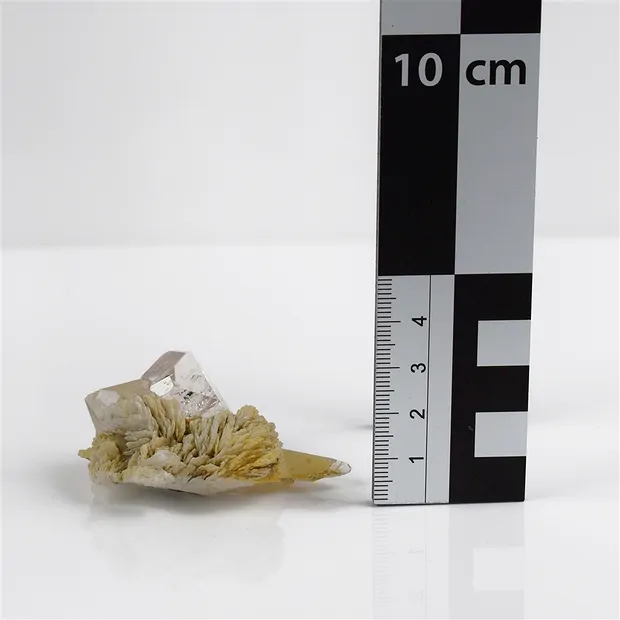 Topasstufe, 6 x 3,5cm, Unikat 006 | Großhändler Edelsteine, Heilsteine & Schmuck
