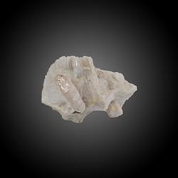 2806154012 Escal&#xF3;n topacio, 7 x 4 cm, &#xFA;nico 012 | Marco Schreier