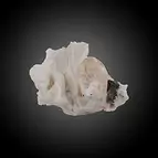 https://cdn.marcoschreier.com/content/productimages/2806154014_zoom.jpg