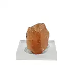https://cdn.marcoschreier.com/content/productimages/2806352013_zoom.jpg