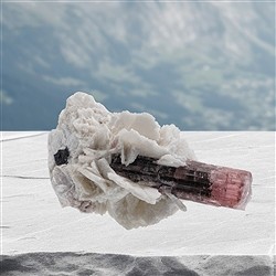 2806372001 Cristallo di tormalina (rosa) in Albite unico 001, 7,8 cm | Marco Schreier