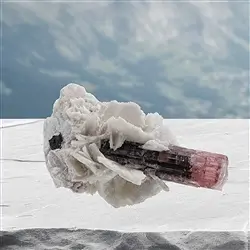 2806372001 Turmalina cristalina (rosa) en Albita única 001, 7,8cm | Marco Schreier