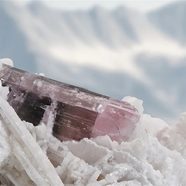 Cristal Tourmaline (rose) en Pièces uniques Albite 003, 10,5cm | Marco Schreier
