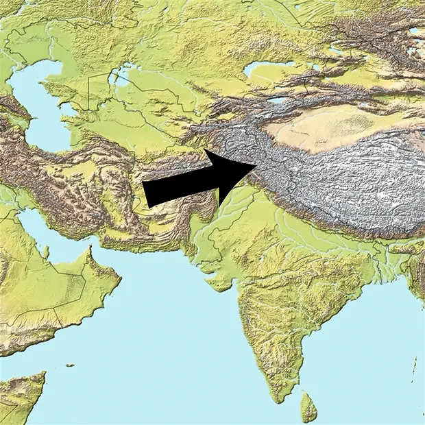 Cristal Tourmaline (rose) en Pièces uniques Albite 003, 10,5cm | Marco Schreier