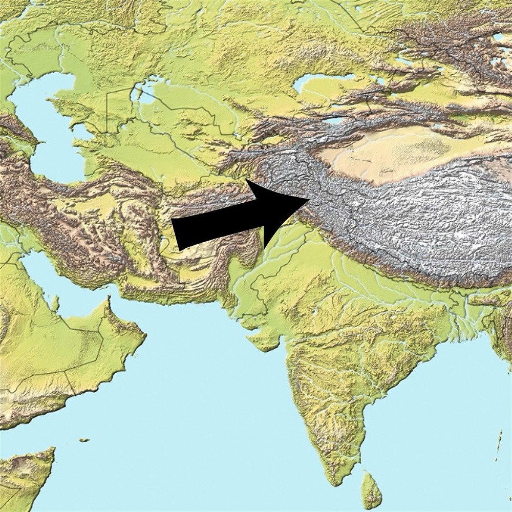 Crystal tourmaline (pink, black) in Albite unique 004, 10,2cm | Marco Schreier