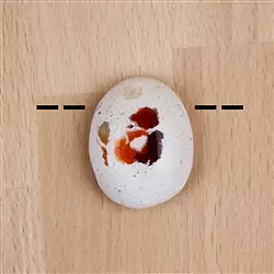 2811071004 Cabochon Fire Opal drilled unique 004 | wholesale gems, healing stones & jewelry
