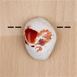 2811071021 Opale di fuoco cabochon forato unico 021 | grossista gemme e pietre curative