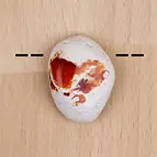 https://cdn.marcoschreier.com/content/productimages/2811071021_zoom.jpg