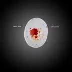 https://cdn.marcoschreier.com/content/productimages/2811071042_zoom.jpg
