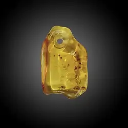 2811309004 Copal drilled unique 004 | wholesaler - gems, precious & healing stones, jewelry