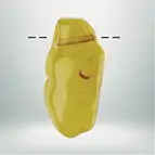 https://cdn.marcoschreier.com/content/productimages/2811309010_zoom.jpg
