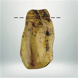 2811309011 Copal drilled unique 011, 6,5cm | wholesaler gems, healing stones & jewelry