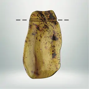 Copal perforado único 011, 6,5cm | Marco Schreier