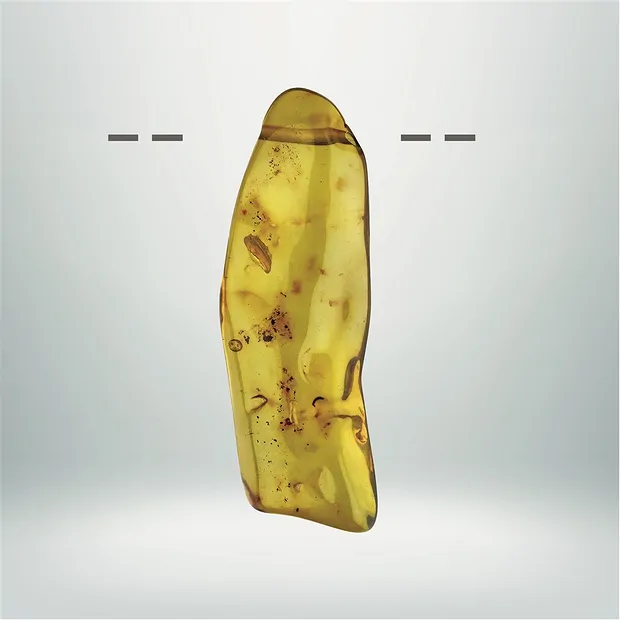 Copal perforado único 013, 8,5cm | Marco Schreier