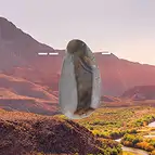 https://cdn.marcoschreier.com/content/productimages/2811399030_zoom.jpg