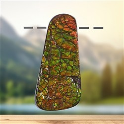 2811583026 Ammolite percée Pièces uniques 026 | Marco Schreier