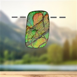 2811583092 Ammolite drilled unique 092 | Schreier wholesale; gems, healing stones & jewelry