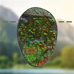 2811583112 Ammolita forata unica 112, 5,8 cm | Gemme Schreier, pietre curative e gioielli