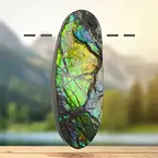 https://cdn.marcoschreier.com/content/productimages/2811583113_zoom.jpg