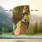 https://cdn.marcoschreier.com/content/productimages/2811583121_zoom.jpg
