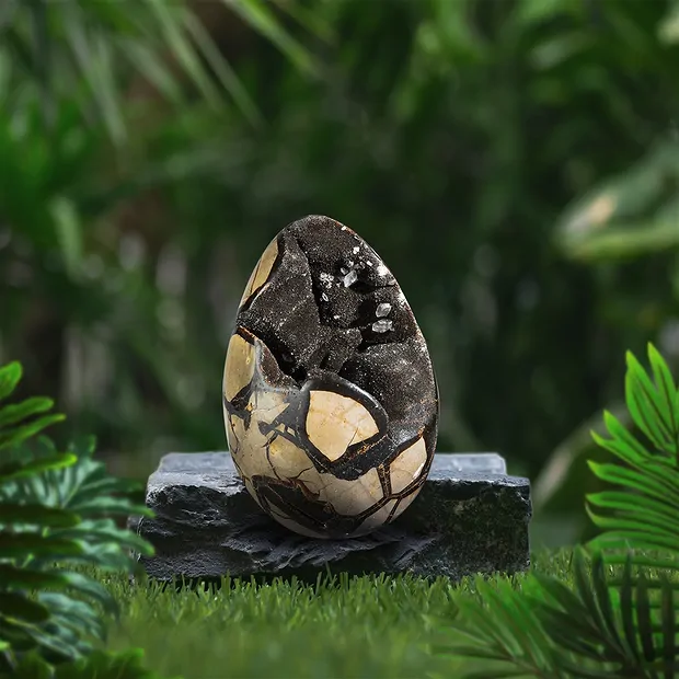 Septaria huevo de dragón, 22cm, única 001 | Marco Schreier