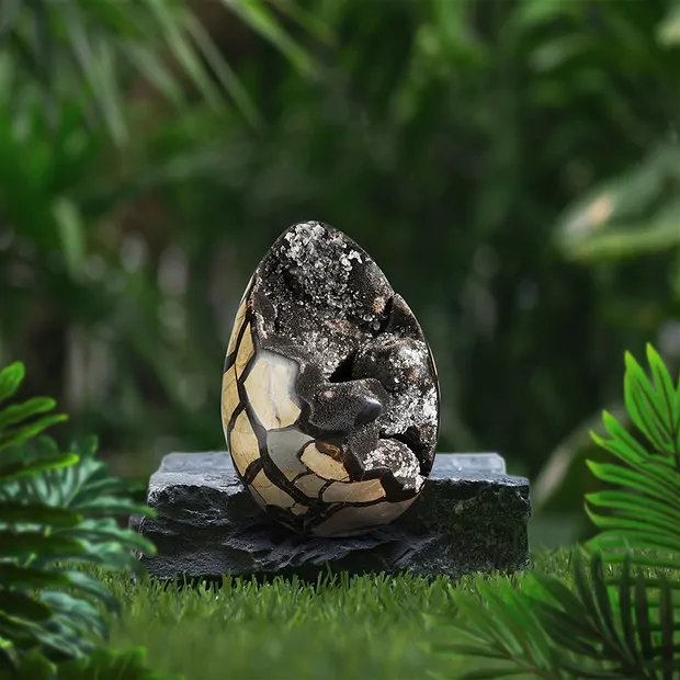 Drachen-Ei Septarie, 21cm, Unikat 002 | Edelsteine, Heilsteine & Schmuck-Handel