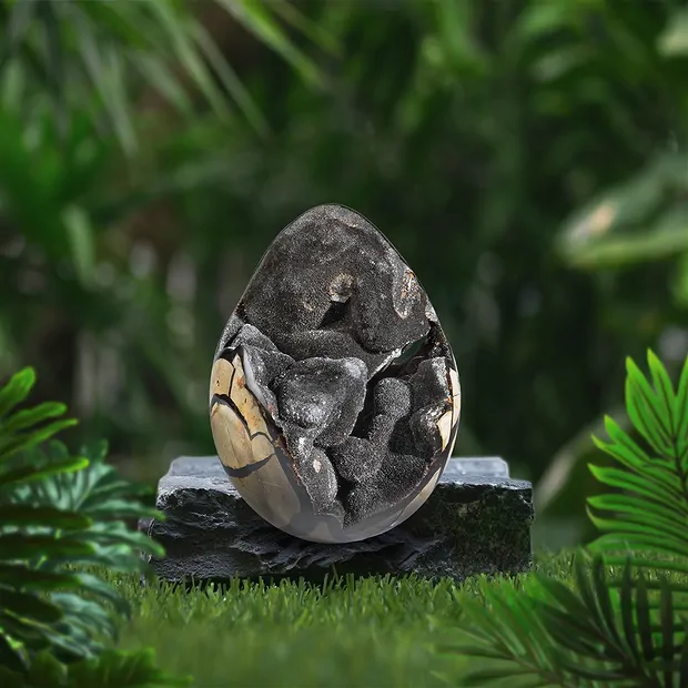 Dragon egg Septarian, 16cm, unique 006 | Schreier gems, healing stones & jewelry