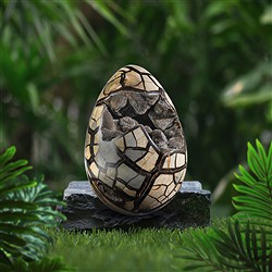 2812523009 Septaria huevo de dragón, 23cm, única 009 | Marco Schreier