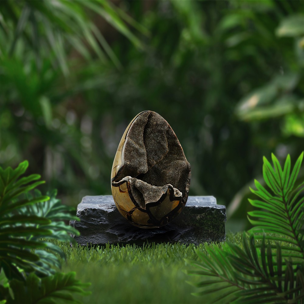 Septaria huevo de dragón, 12cm, única 011 | Marco Schreier