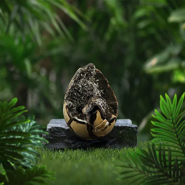 Septaria huevo de dragón, 14cm, única 012 | Marco Schreier
