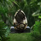 https://cdn.marcoschreier.com/content/productimages/2812523019_zoom.jpg
