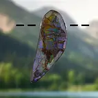 https://cdn.marcoschreier.com/content/productimages/2815583108_zoom.jpg