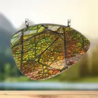 https://cdn.marcoschreier.com/content/productimages/2815583145_zoom.jpg