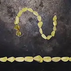 https://cdn.marcoschreier.com/content/productimages/2821341005_zoom.jpg