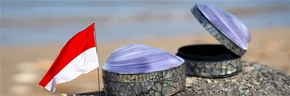 Trésors d'Indonésie | Pierres précieuses, pierres thérapeutiques & bijoux