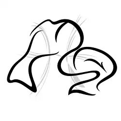 Rang de collier pour les poissons (19.02. - 20.03.) | Marco Schreier