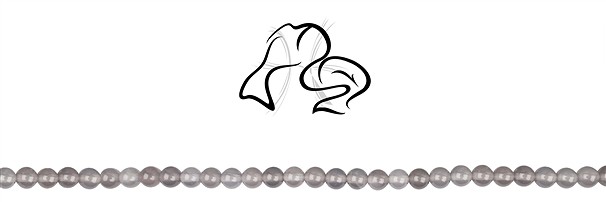 Rang de collier pour les poissons (19.02. - 20.03.) | Marco Schreier