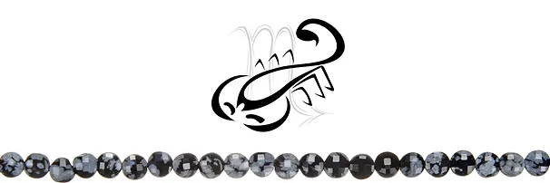 Chaînes Scorpions (23.10.-21.11.) | Marco Schreier