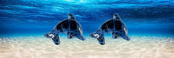 Delfines perforados con piedras preciosas | Marco Schreier