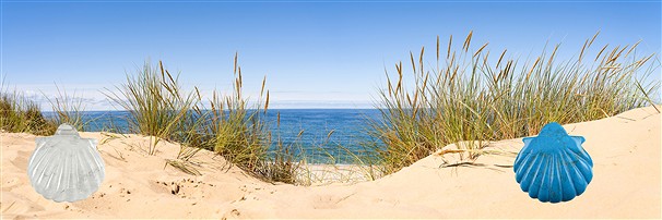 drilled elephants, shells, dragons | wholesaler gems, healing stones & jewelry