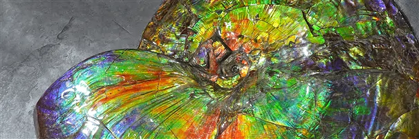 Galerie de la Terre : Pièces uniques | Marco Schreier