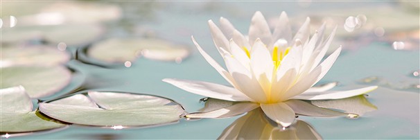 Gemstones for "serenity" | wholesaler - gems, precious & healing stones, jewelry