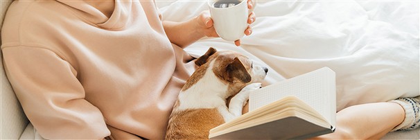 Espositori e libri | fornitore all'ingrosso di gemme, pietre curative e gioielli