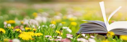 Bücher und Infomaterial über Edelsteine | GH Edelsteine, Heilsteine & Schmuck