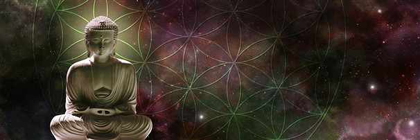 Fiore della vita | Schreier fornitori all'ingrosso - pietre preziose e curative